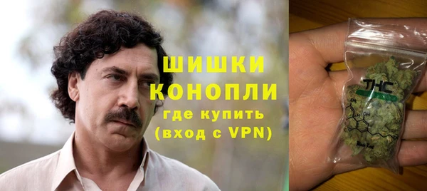 spice Арсеньев