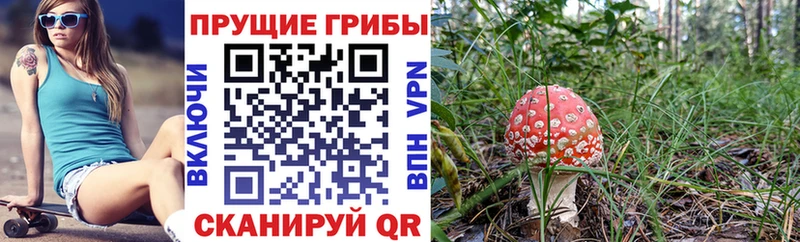 Псилоцибиновые грибы прущие грибы  OMG рабочий сайт  Белинский  хочу наркоту 